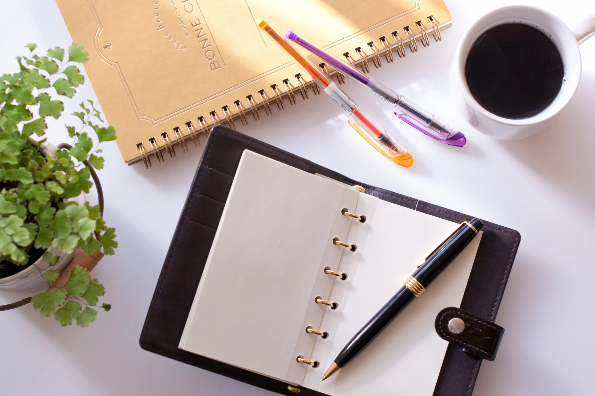 カルネ使用方法と記入例